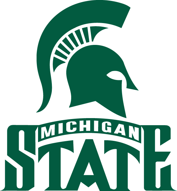 Michigan State Spartans 1987-Pres Alternate Logo diy DTF decal sticker